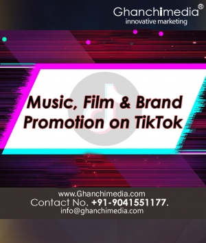 Song promotion on tiktok  india,Mumbai,delhi  	